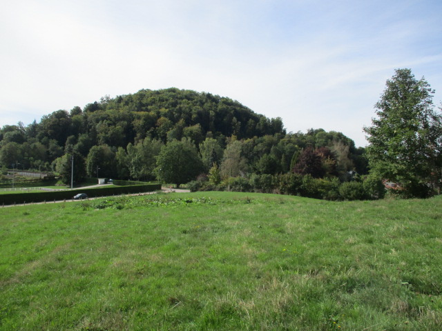 Parcelle constructible 1151m2 - Bruyères
