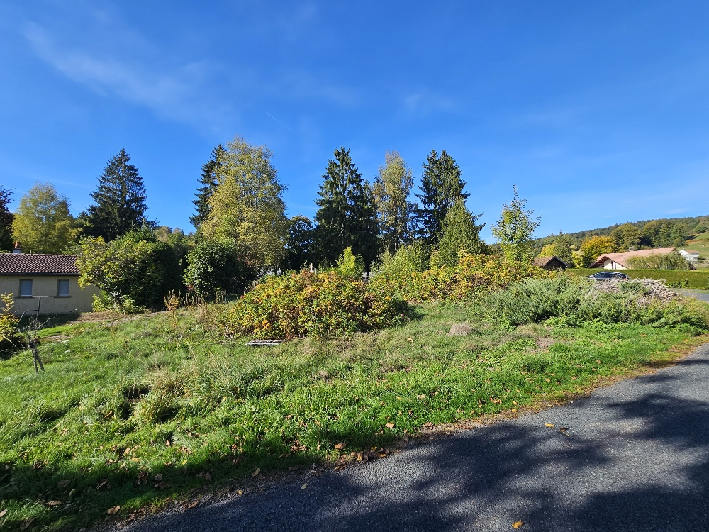 Terrain constructible avec vue montagne - le tholy